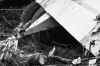 detail06.jpg (69334 octets)