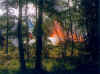 f01.jpg (100346 octets)