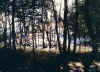 f05.jpg (102363 octets)