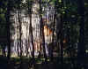 f06.JPG (78479 octets)