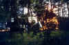 f10-0.jpg (86894 octets)