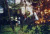f10-1.jpg (74860 octets)